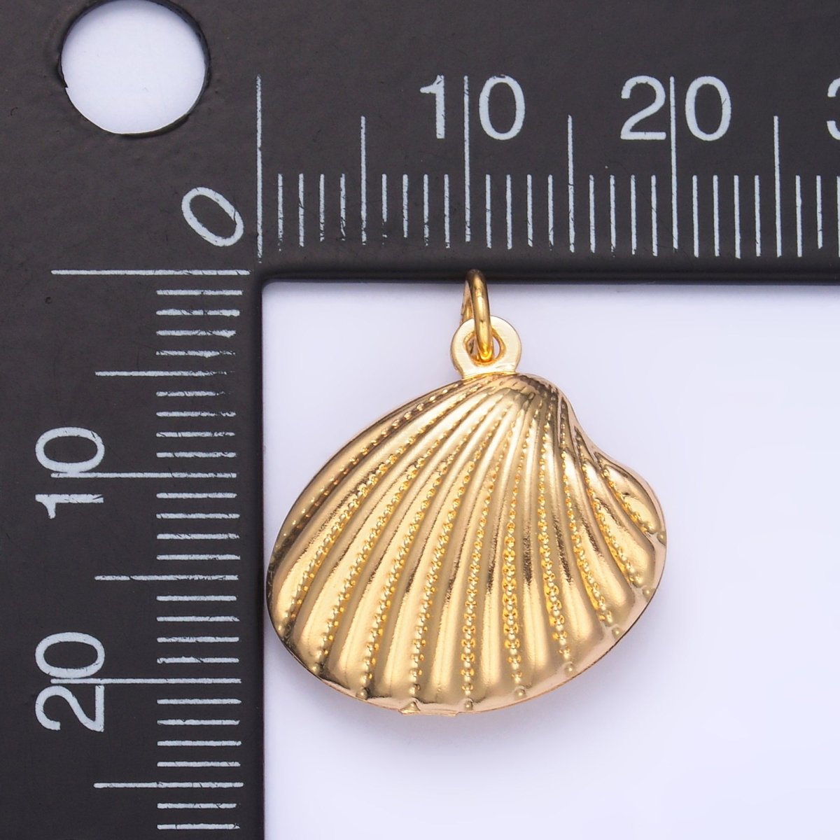 14K Gold Filled 20mm Dotted Lined Clam Sea Shell Charm | AG618 - DLUXCA
