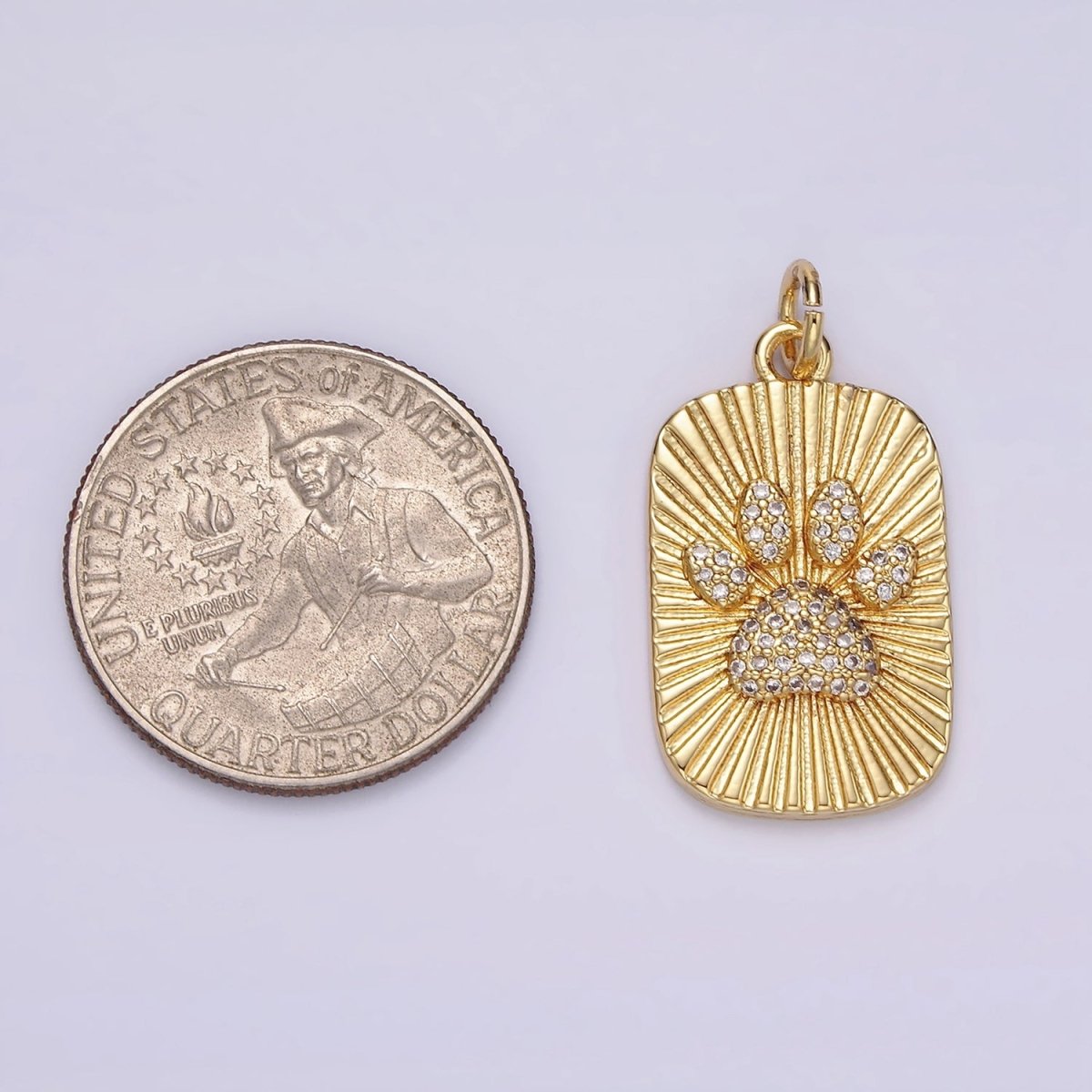 14K Gold Filled Animal Paw Print Micro Paved CZ 30mm Sunburst Tag Charm | N1525
