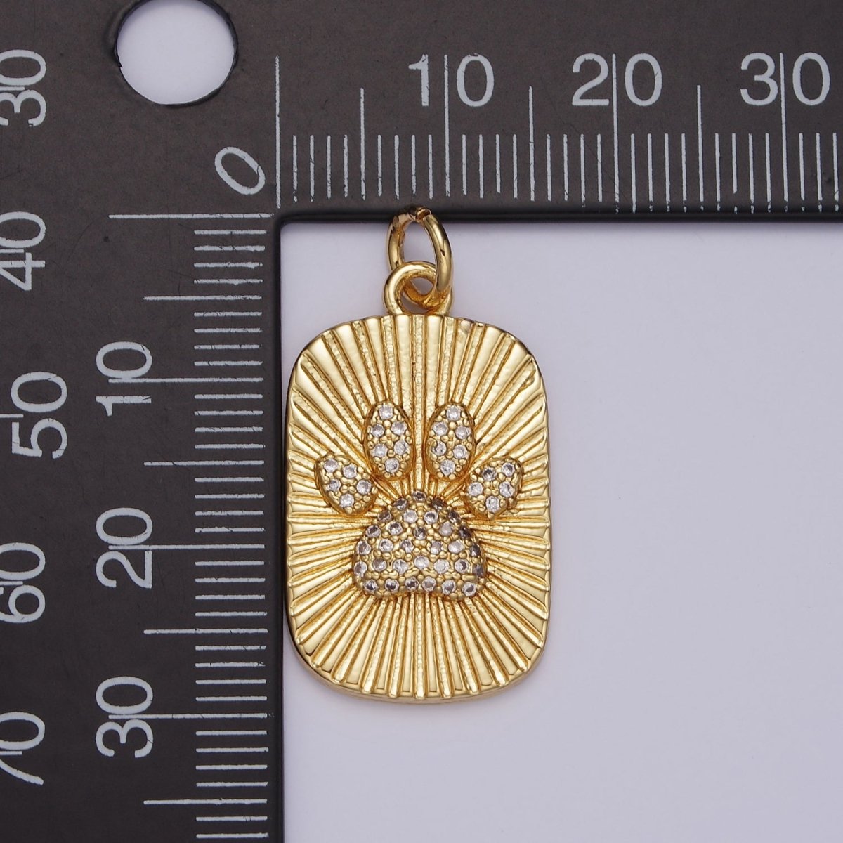 14K Gold Filled Animal Paw Print Micro Paved CZ 30mm Sunburst Tag Charm | N1525