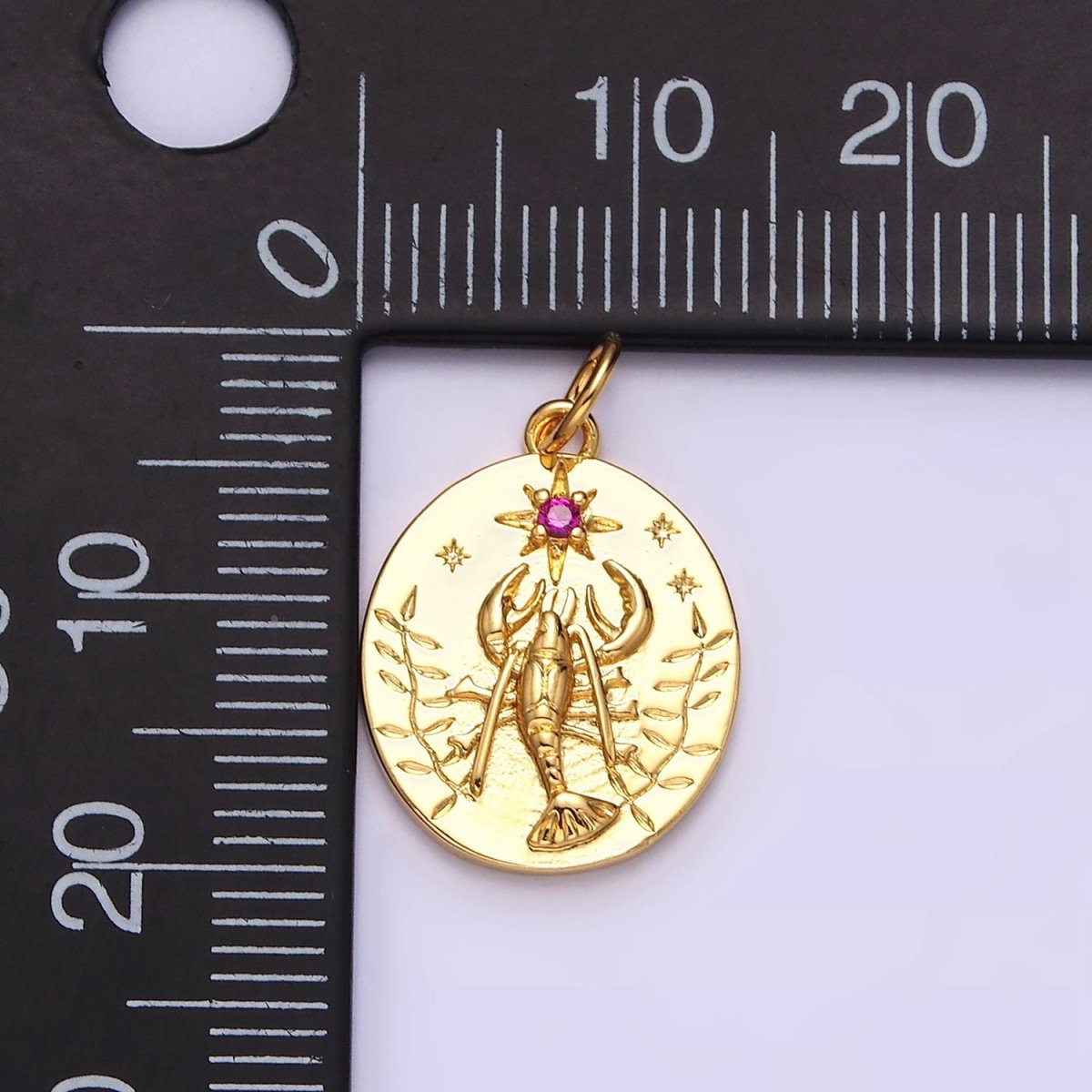 14K Gold Filled Fuchsia CZ North Star Lobster Kelp Ocean Oval Charm | AC1155 - DLUXCA