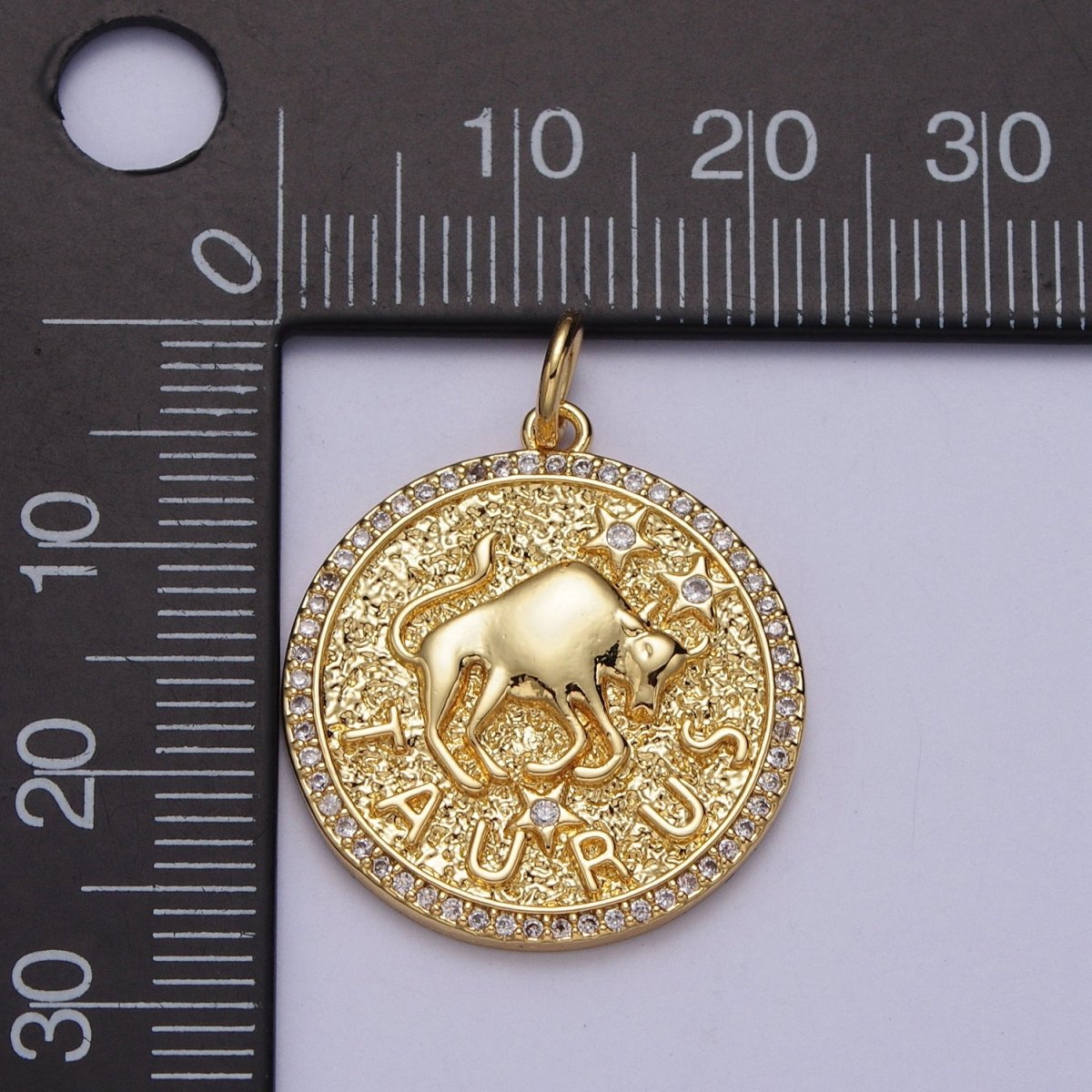 24K Gold Filled Zodiac Birth Star Hammered Round Micro Paved CZ Charm | A-A1773-A-A1778