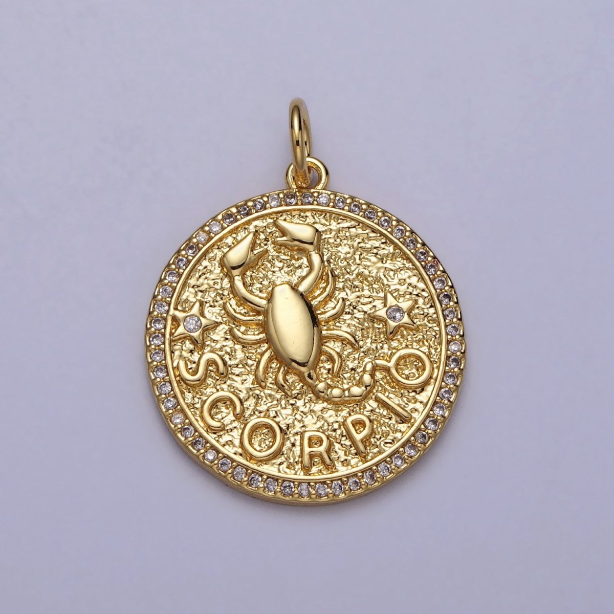 24K Gold Filled Zodiac Birth Star Hammered Round Micro Paved CZ Charm | A-A1773-A-A1778
