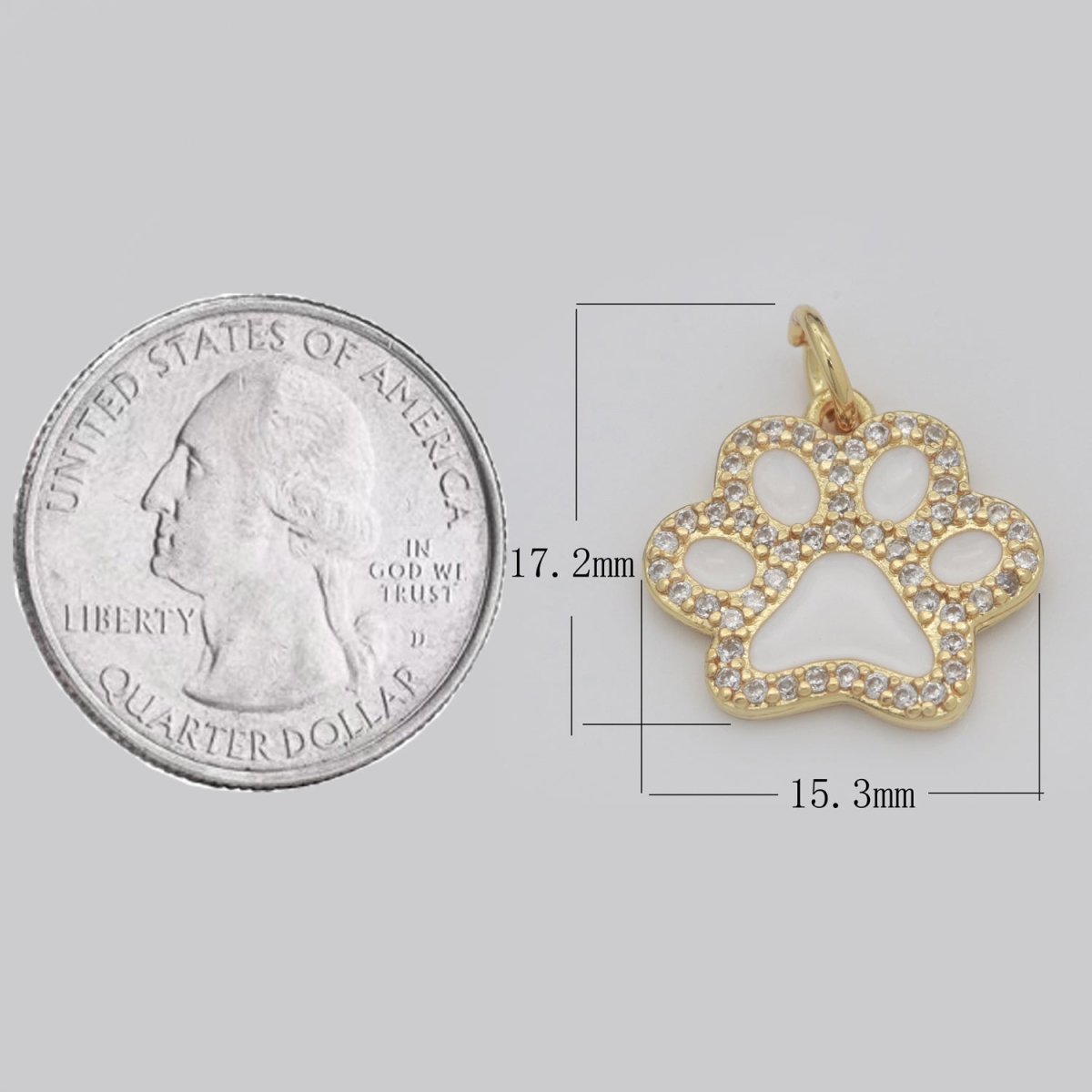 Dog Paw Gold Filled Charms M-648 - M-657