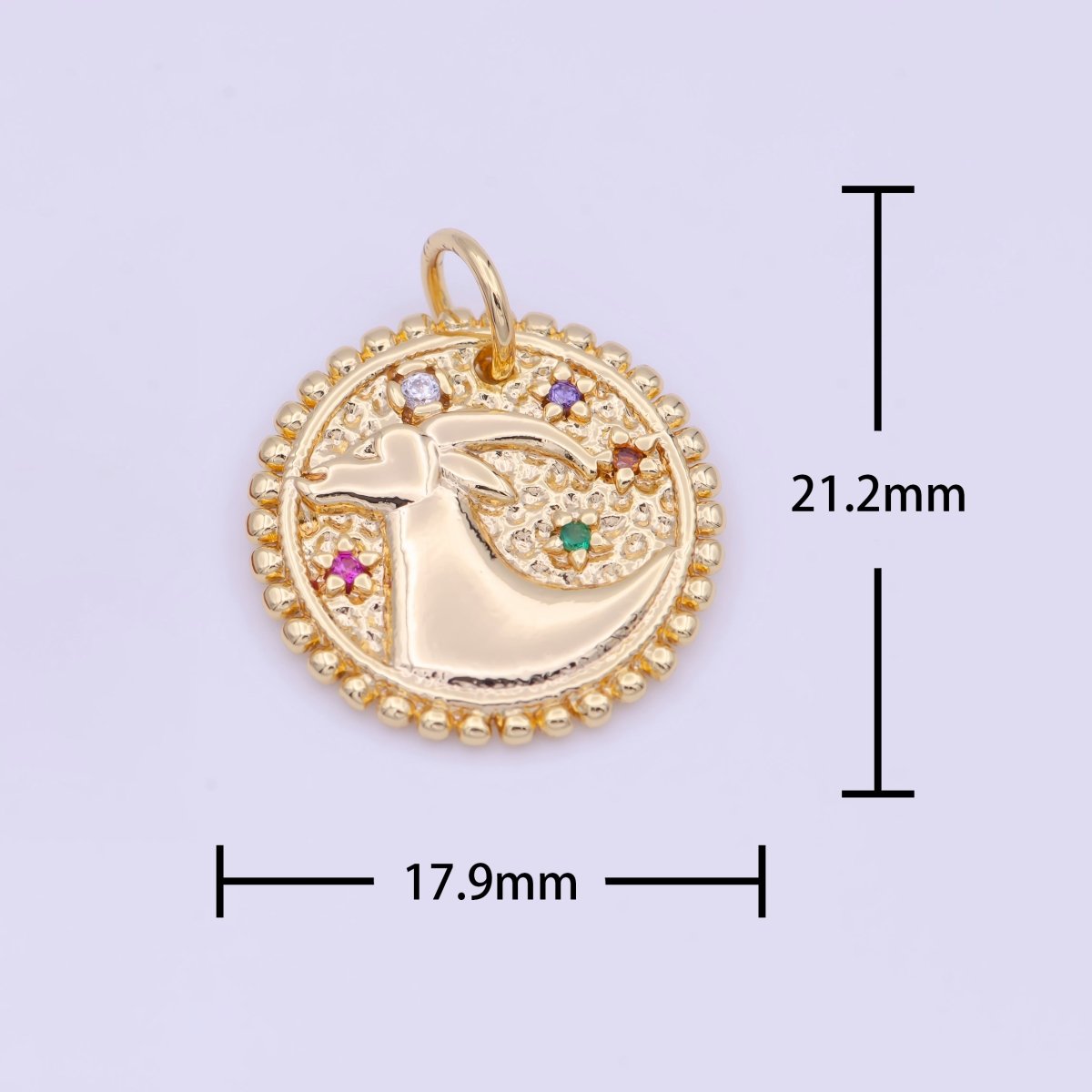 Double Sided Zodiac Horoscope Astrology Personalized Coin Charm | A-A1803-A-A1808