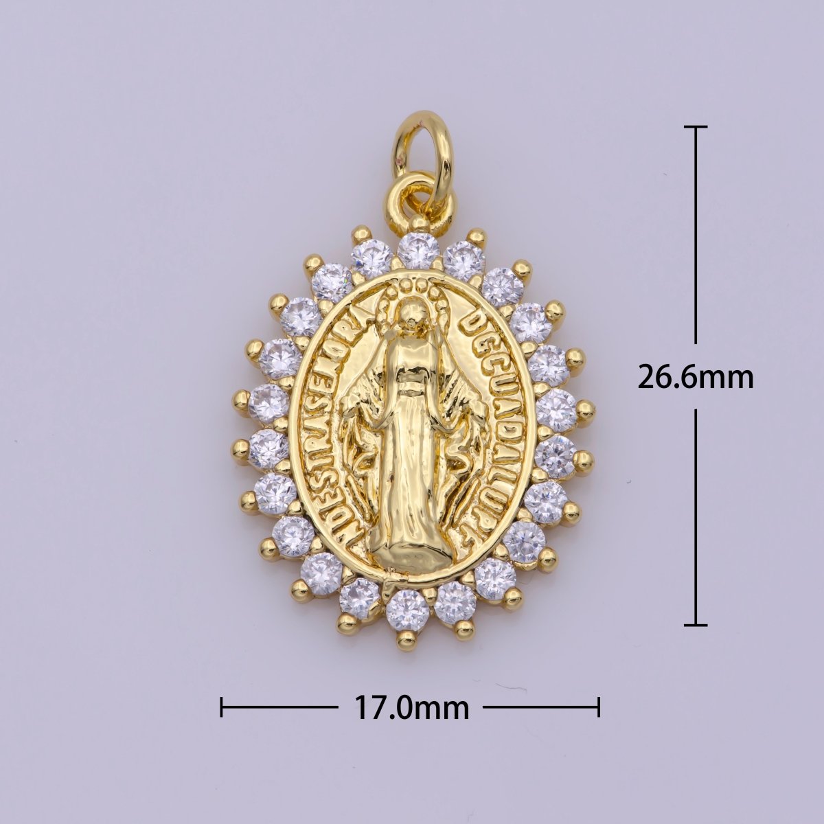 Gold Filled "Nuestra Senora Guadalupe" Miraculous Lady Oval CZ Charm in Gold & Silver | M-486 N-188