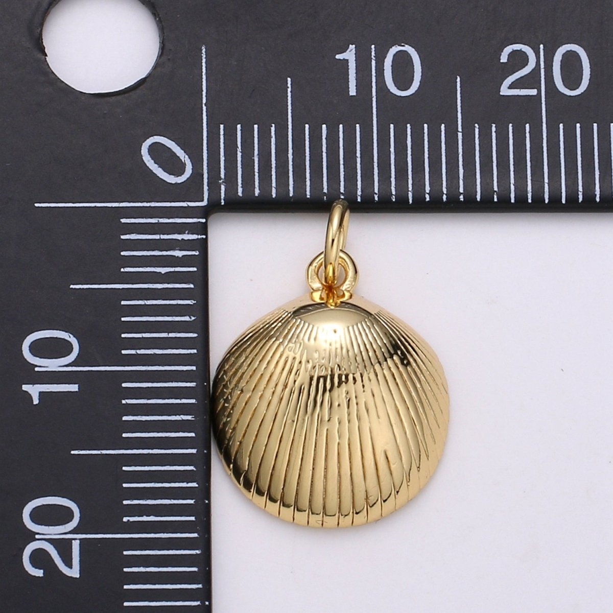Gold Filled Round Sea Shell Charm D-794 - DLUXCA