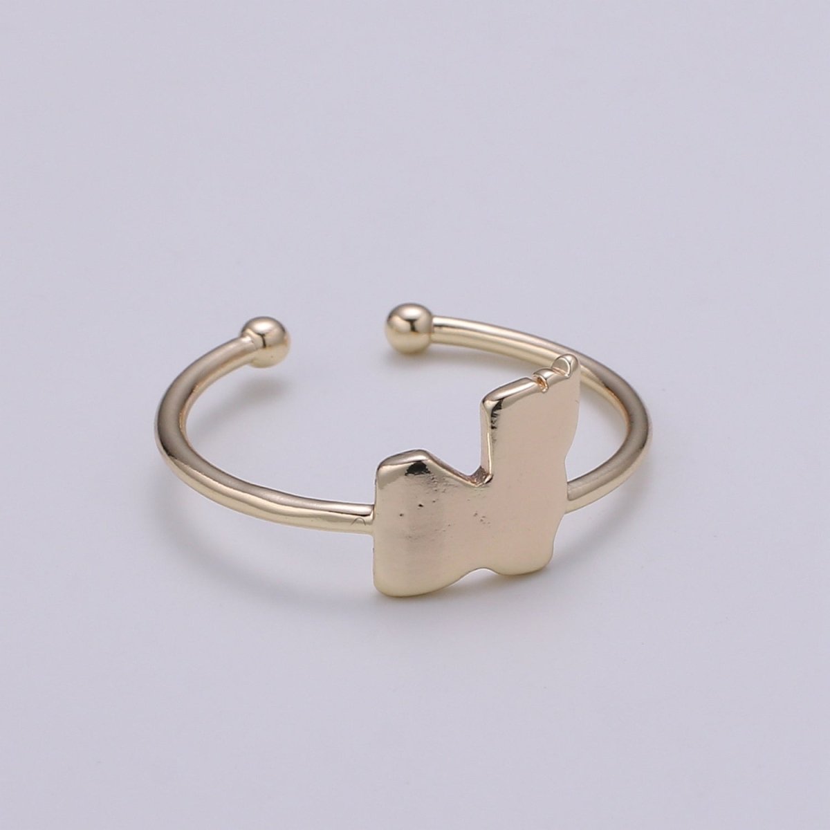 Gold Flake Gold Filled Adjustable Ring R-244 - DLUXCA