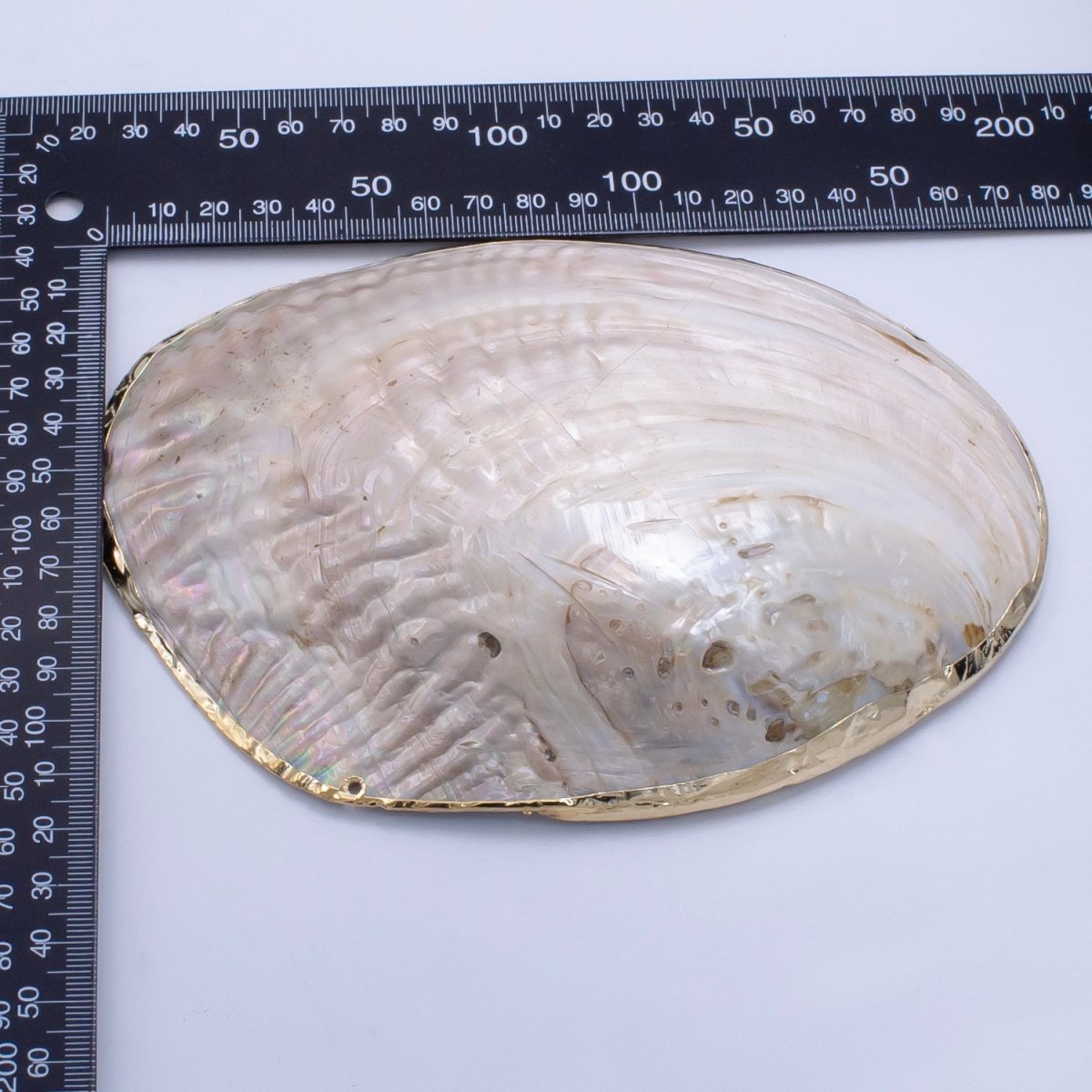 Natural Freshwater Pearl Tray in Gold & Silver Findings | P1894