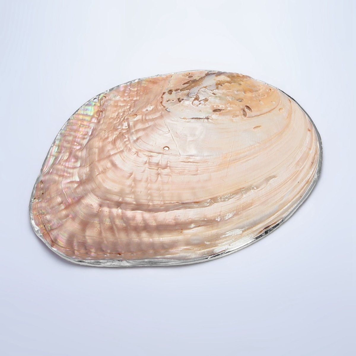 Natural Freshwater Pearl Tray in Gold & Silver Findings | P1894