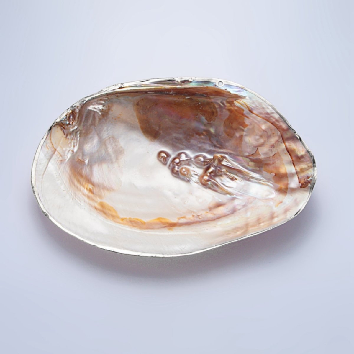 Natural Freshwater Pearl Tray in Gold & Silver Findings | P1894